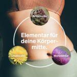 Marian Thistle, Artichoke & Dandelion Complex – 120 kapsul, 80 % Silimarina, Brez Magnezijevega Stearata, Vegansko - slika 4