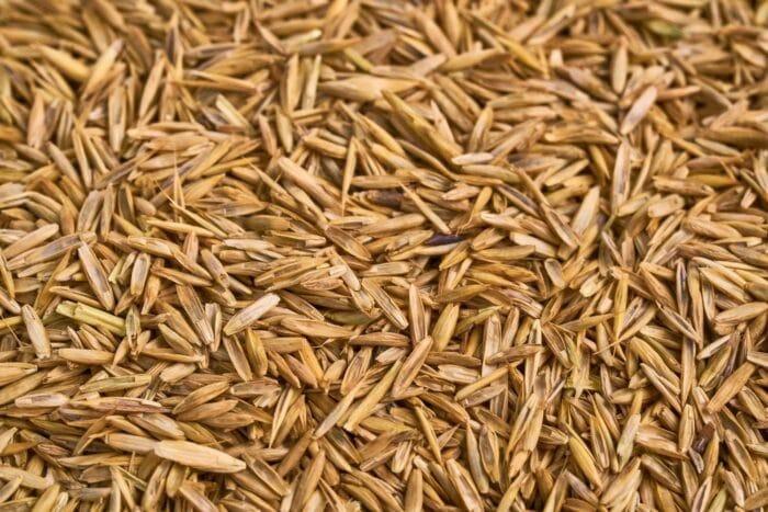 Travna semena hitro klitje WOLF-Garten – 500 g za gosto trato - slika 2