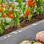 Gardena Micro-Drip System kapljično namakanje za 30 rastlin