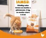 IAMS Vitality suha hrana za mačke s piščancem, 3 kg, za mačke stare 1-6 let