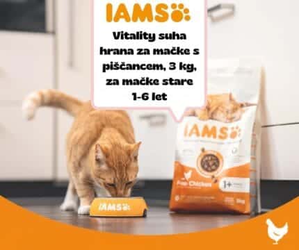 IAMS Vitality suha hrana za mačke s piščancem, 3 kg, za mačke stare 1-6 let