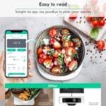Arboleaf digitalna kuhinjska tehtnica z Bluetoothom, 10 kg/0,5 g - slika 3
